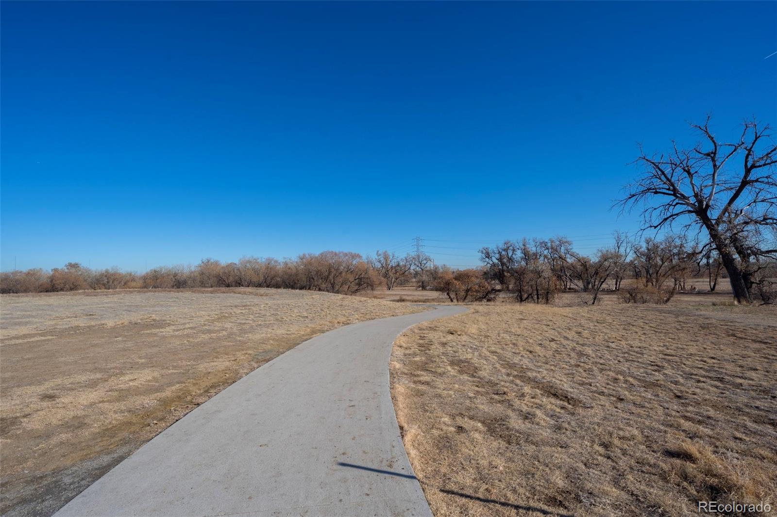 MLS Image #24 for 9396  garfield street,thornton, Colorado