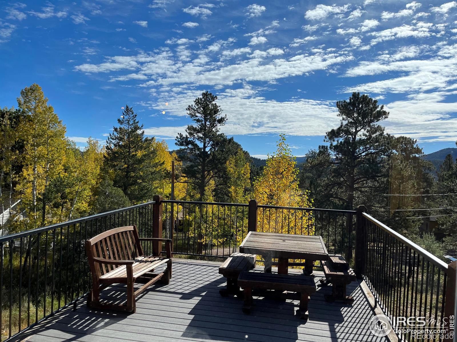 MLS Image #12 for 1269  chasm drive,estes park, Colorado