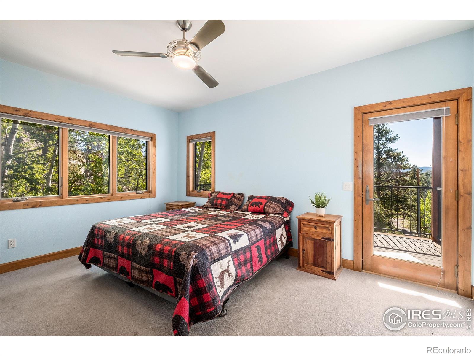 MLS Image #16 for 1269  chasm drive,estes park, Colorado