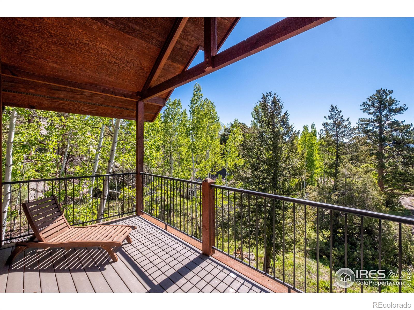 MLS Image #17 for 1269  chasm drive,estes park, Colorado