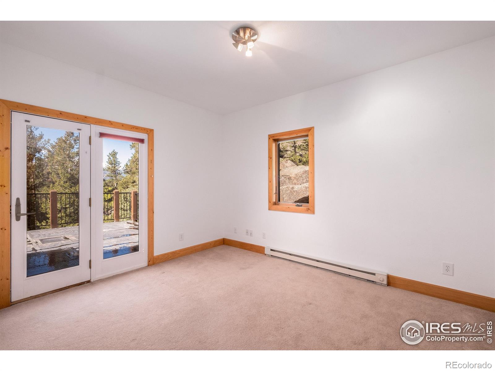 MLS Image #33 for 1269  chasm drive,estes park, Colorado