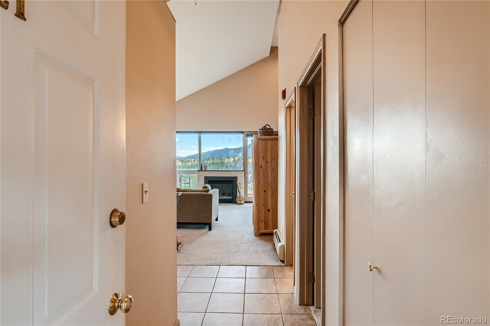 MLS Image #2 for 95100  ryan gulch road,silverthorne, Colorado
