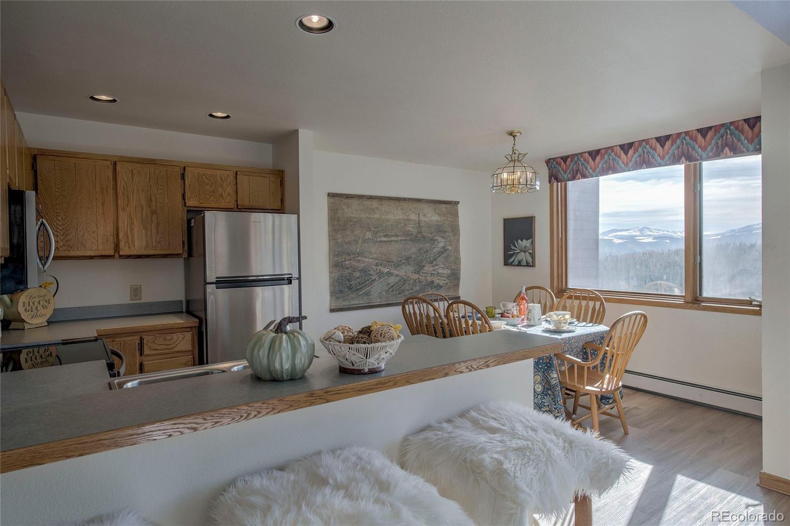MLS Image #13 for 95400  ryan gulch road,silverthorne, Colorado