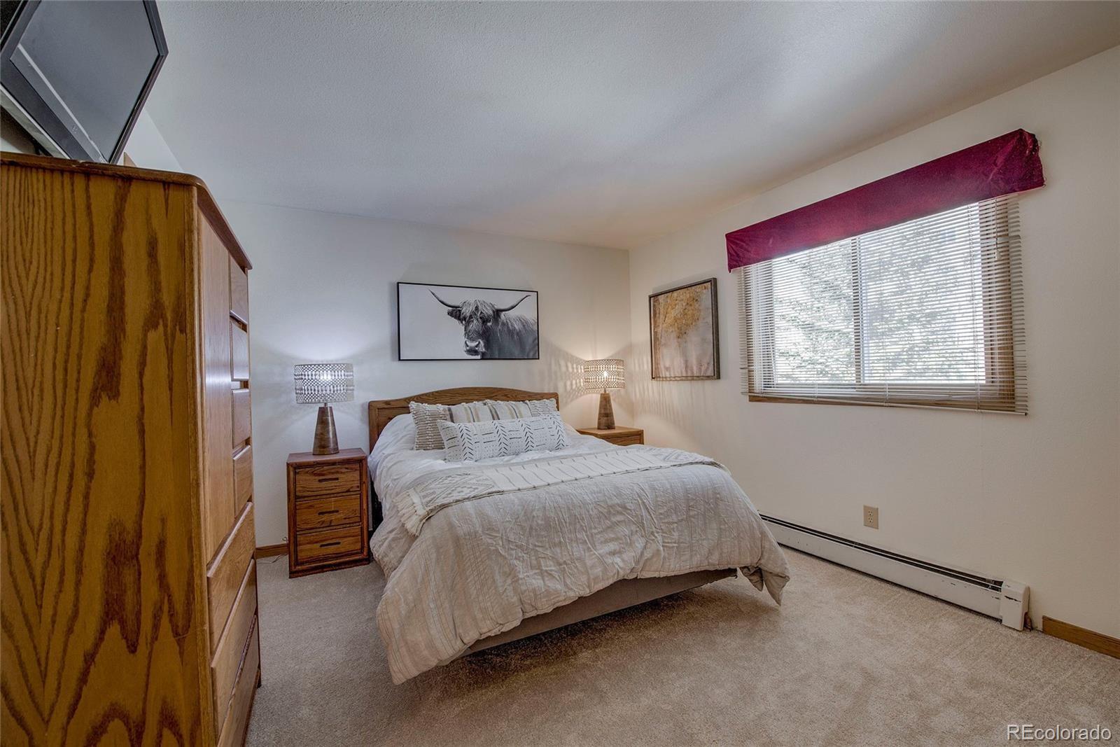 MLS Image #21 for 95400  ryan gulch road,silverthorne, Colorado