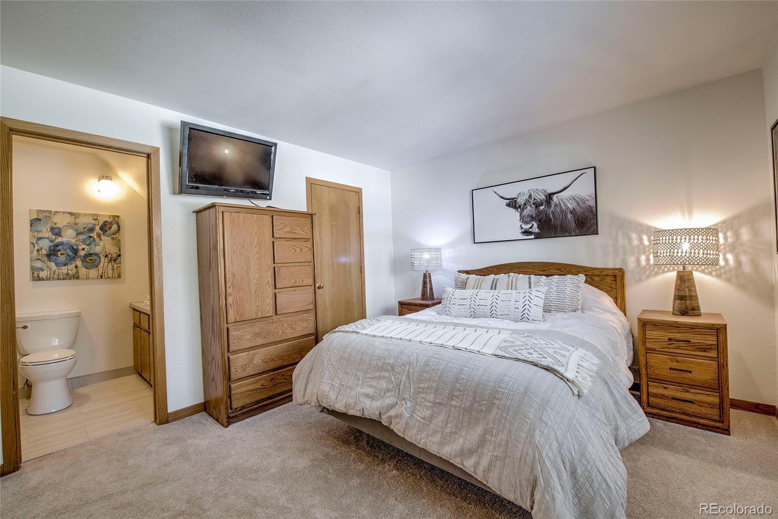 MLS Image #22 for 95400  ryan gulch road,silverthorne, Colorado