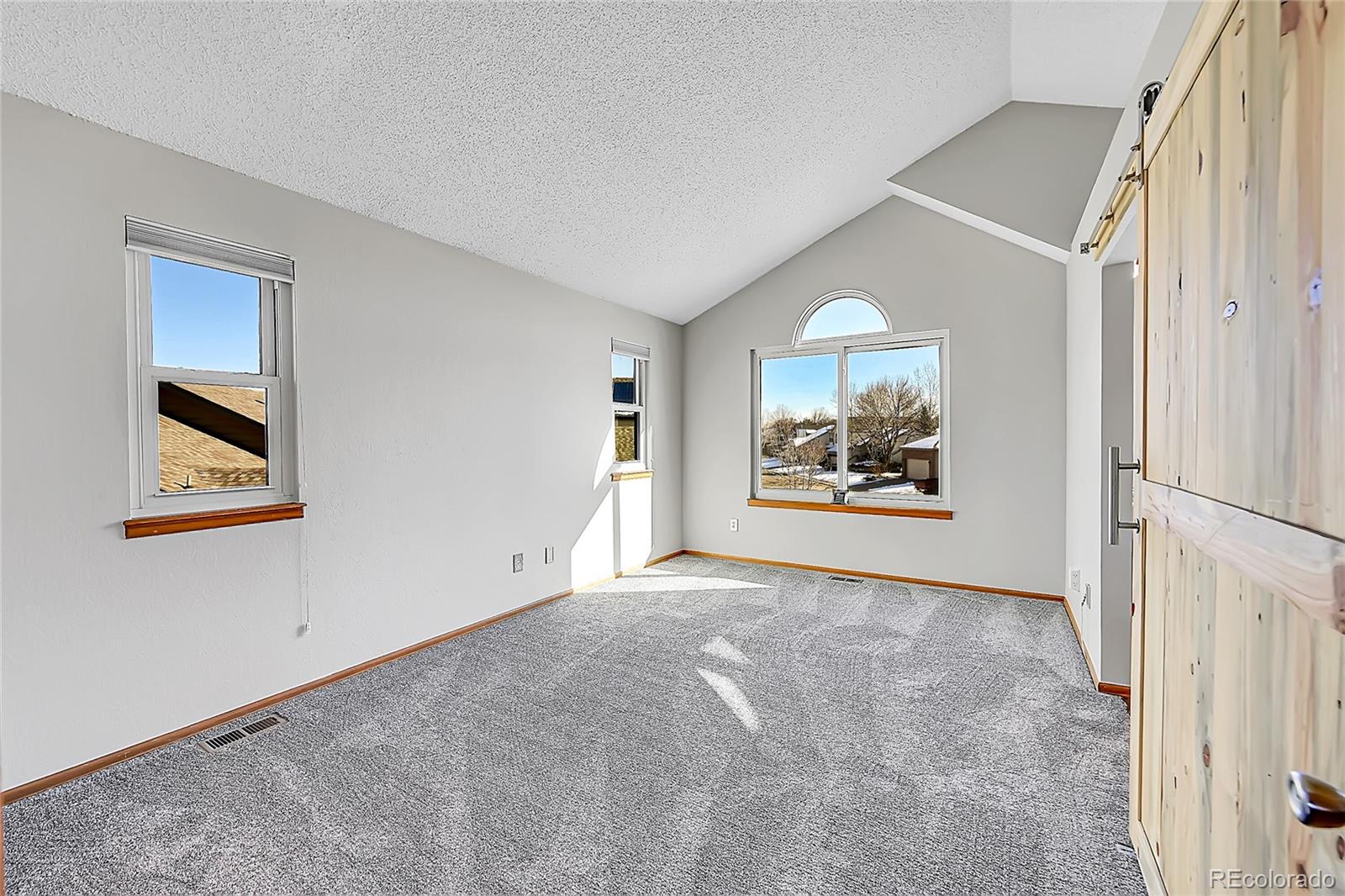 MLS Image #11 for 6541  devinney court,arvada, Colorado