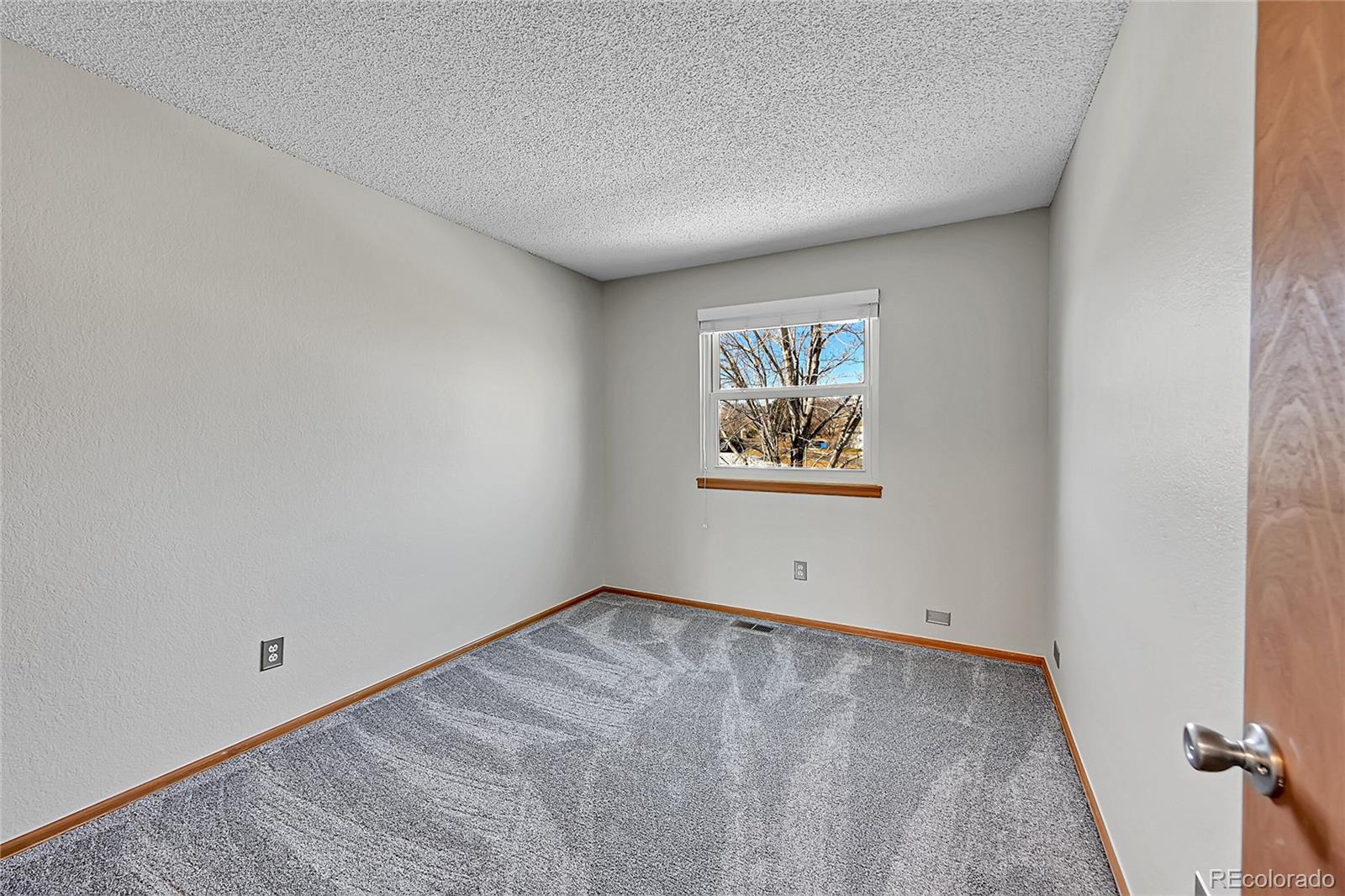 MLS Image #20 for 6541  devinney court,arvada, Colorado