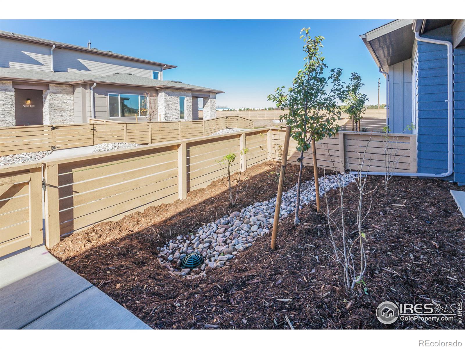 MLS Image #9 for 5056  mckinnon court,timnath, Colorado