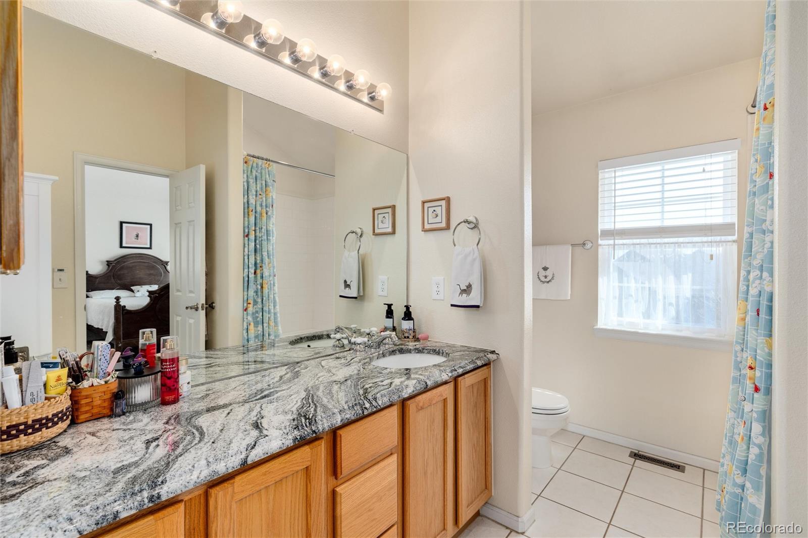 MLS Image #22 for 6809 s webster street,littleton, Colorado