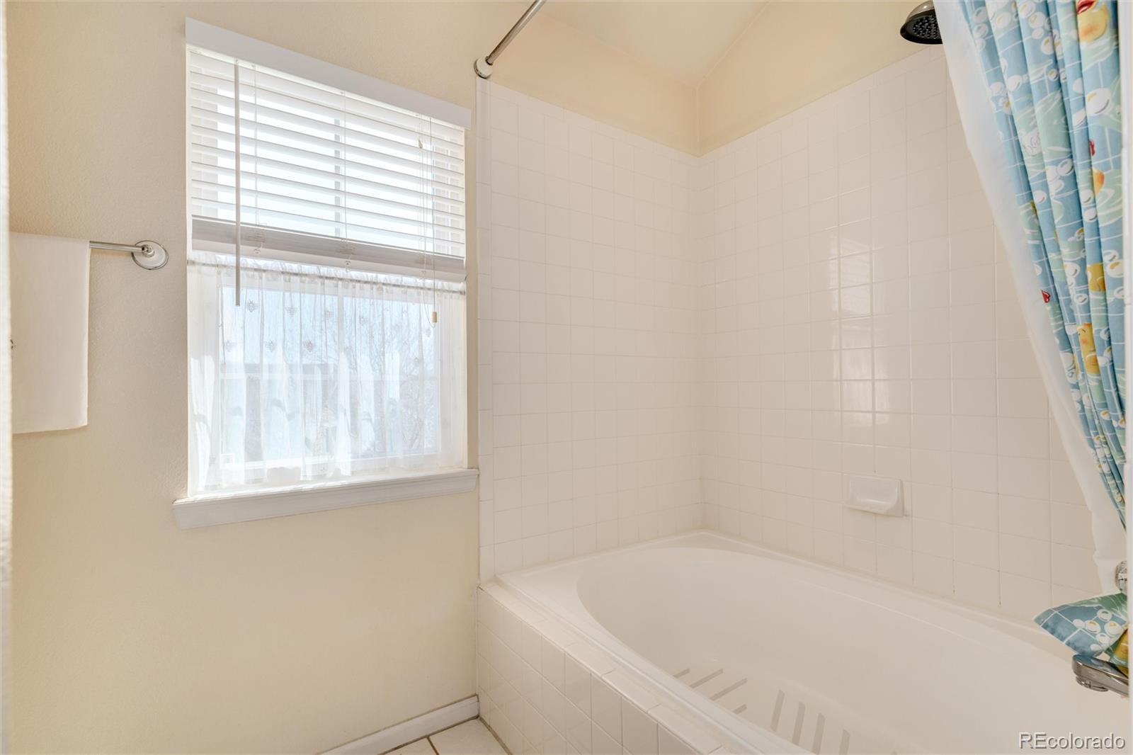 MLS Image #24 for 6809 s webster street,littleton, Colorado