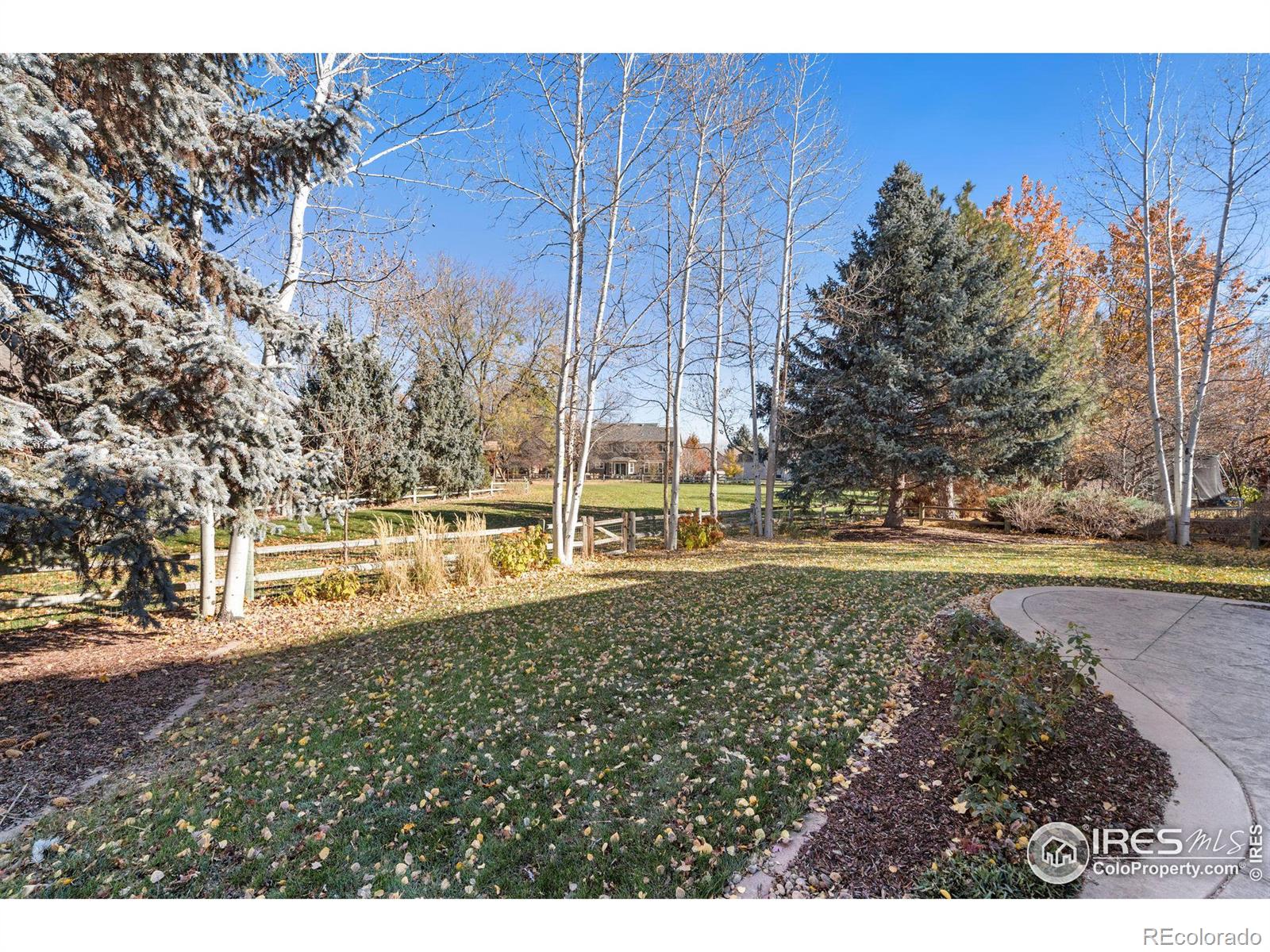 MLS Image #30 for 1918  pacific court,fort collins, Colorado