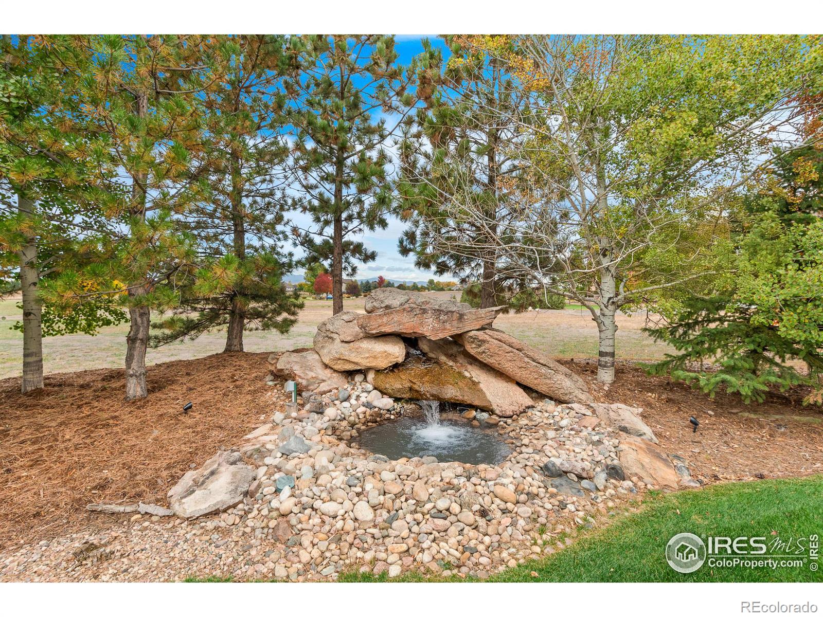 MLS Image #7 for 37152  dickerson court,severance, Colorado