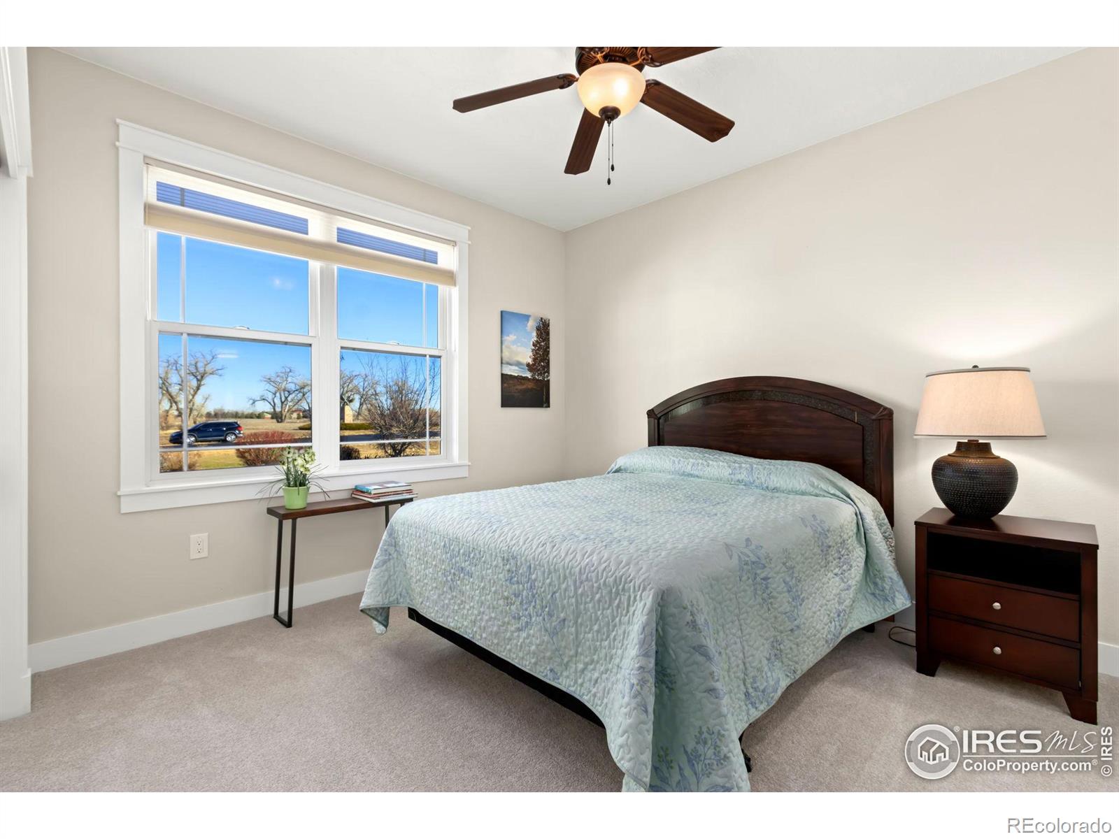 MLS Image #15 for 37105  soaring eagle circle,severance, Colorado