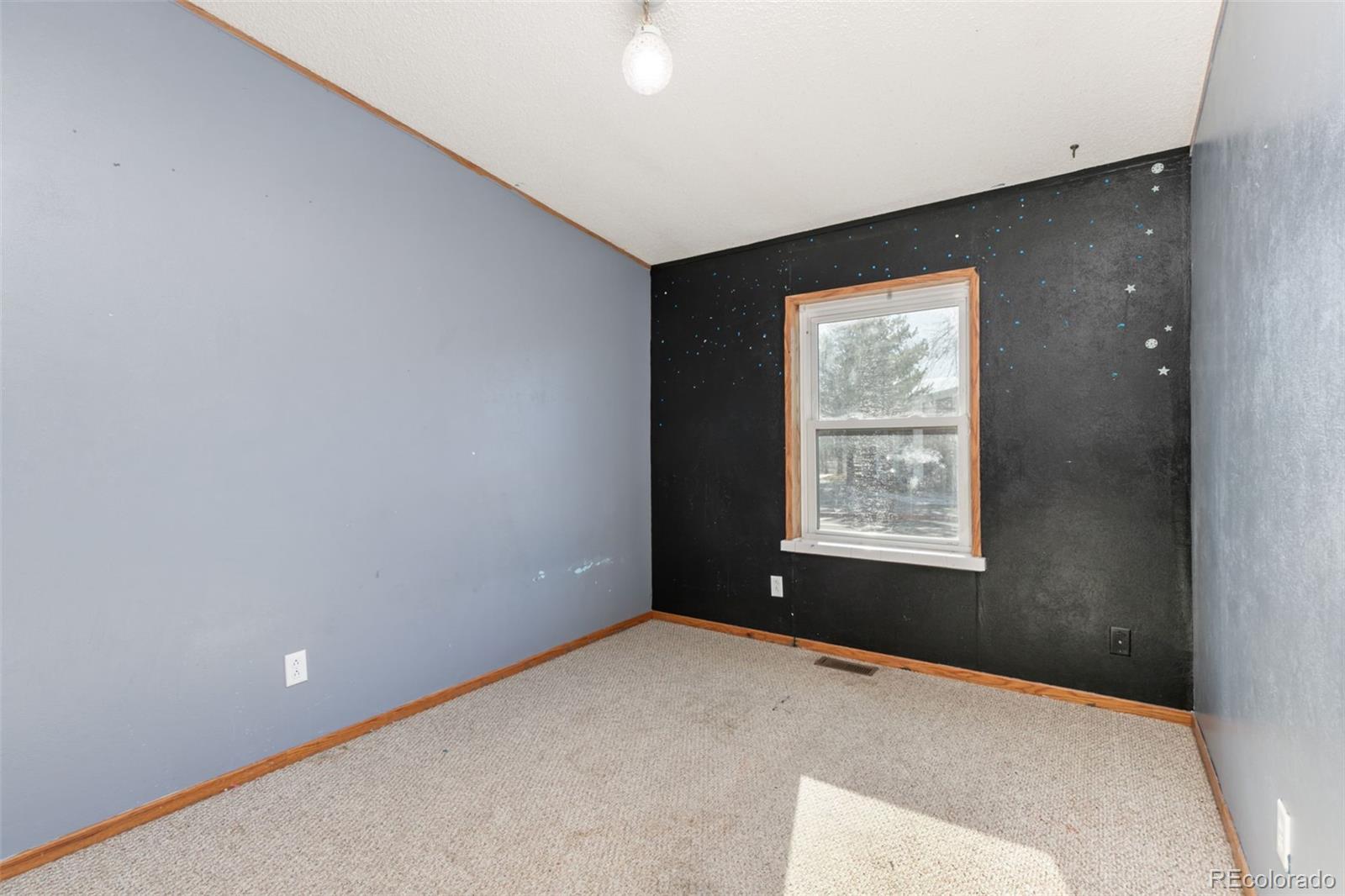 MLS Image #15 for 9008  madeleine street,denver, Colorado