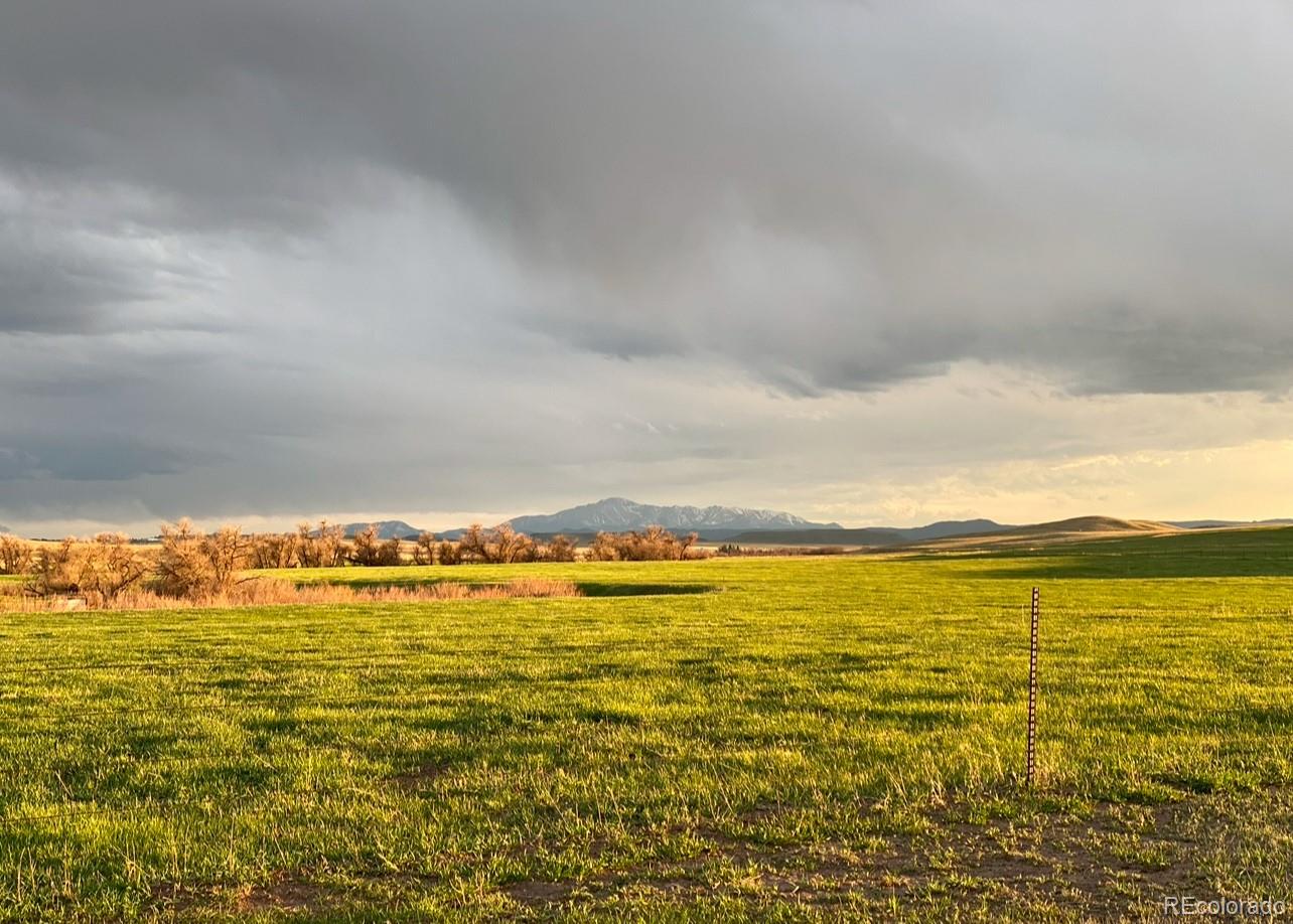 MLS Image #13 for 6597 s state highway 83 ,franktown, Colorado
