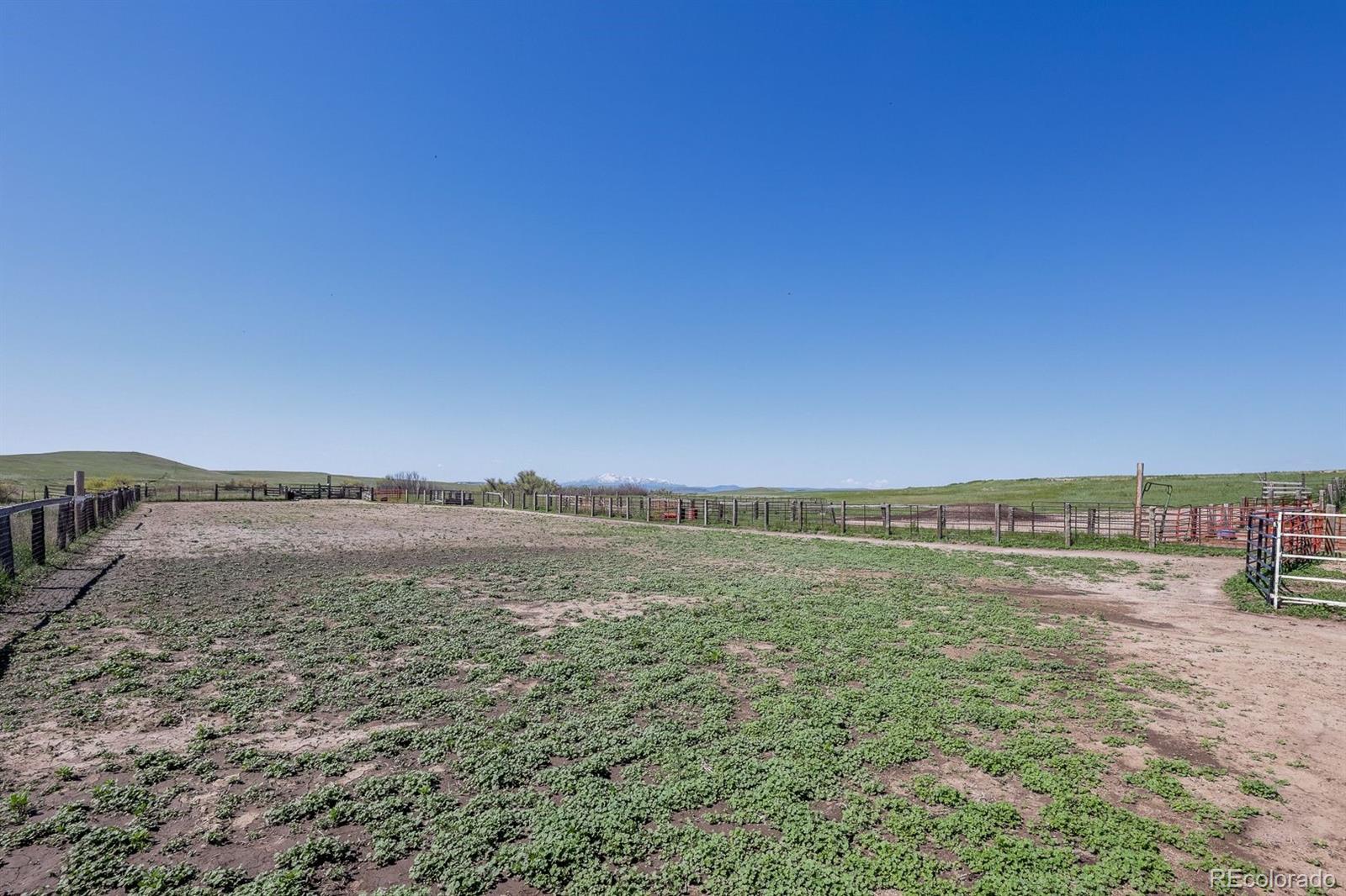 MLS Image #34 for 6597 s state highway 83 ,franktown, Colorado