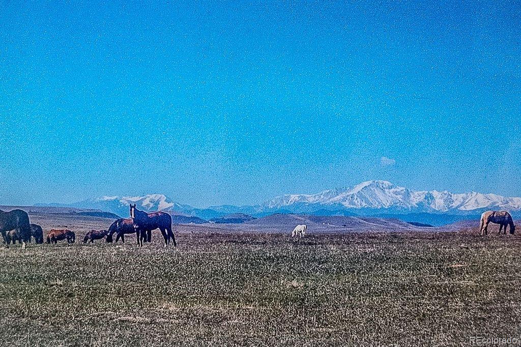 MLS Image #38 for 6597 s state highway 83 ,franktown, Colorado