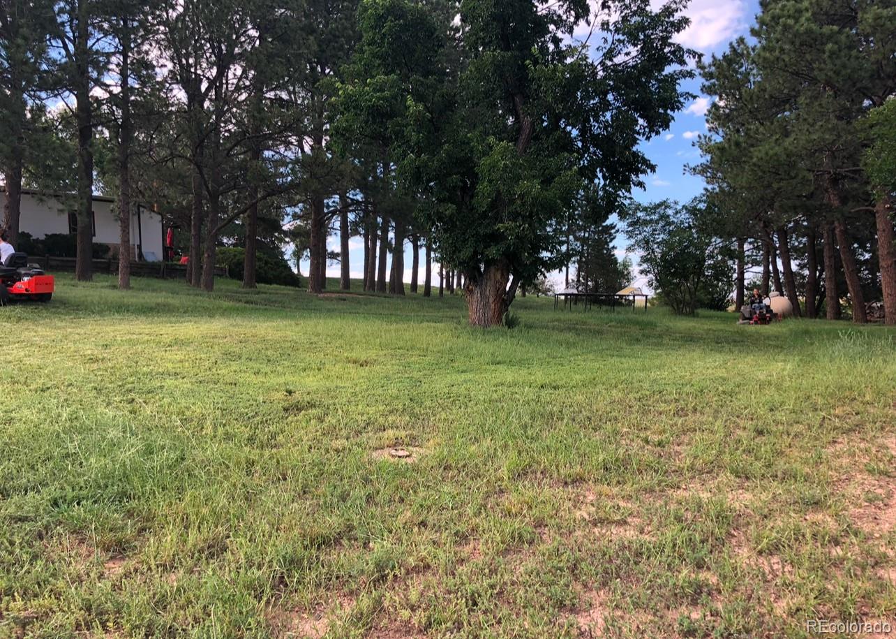 MLS Image #4 for 6597 s state highway 83 ,franktown, Colorado