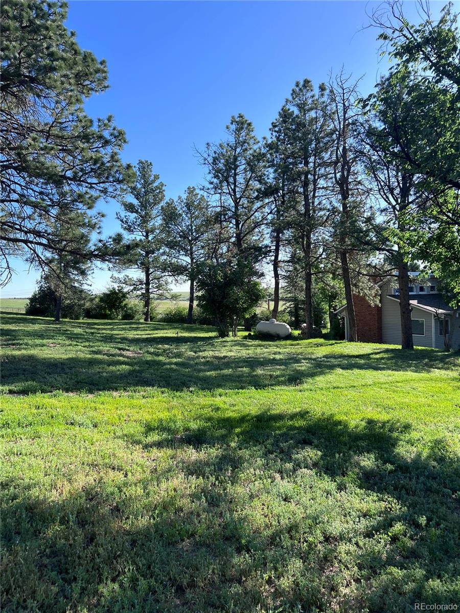 MLS Image #42 for 6597 s state highway 83 ,franktown, Colorado