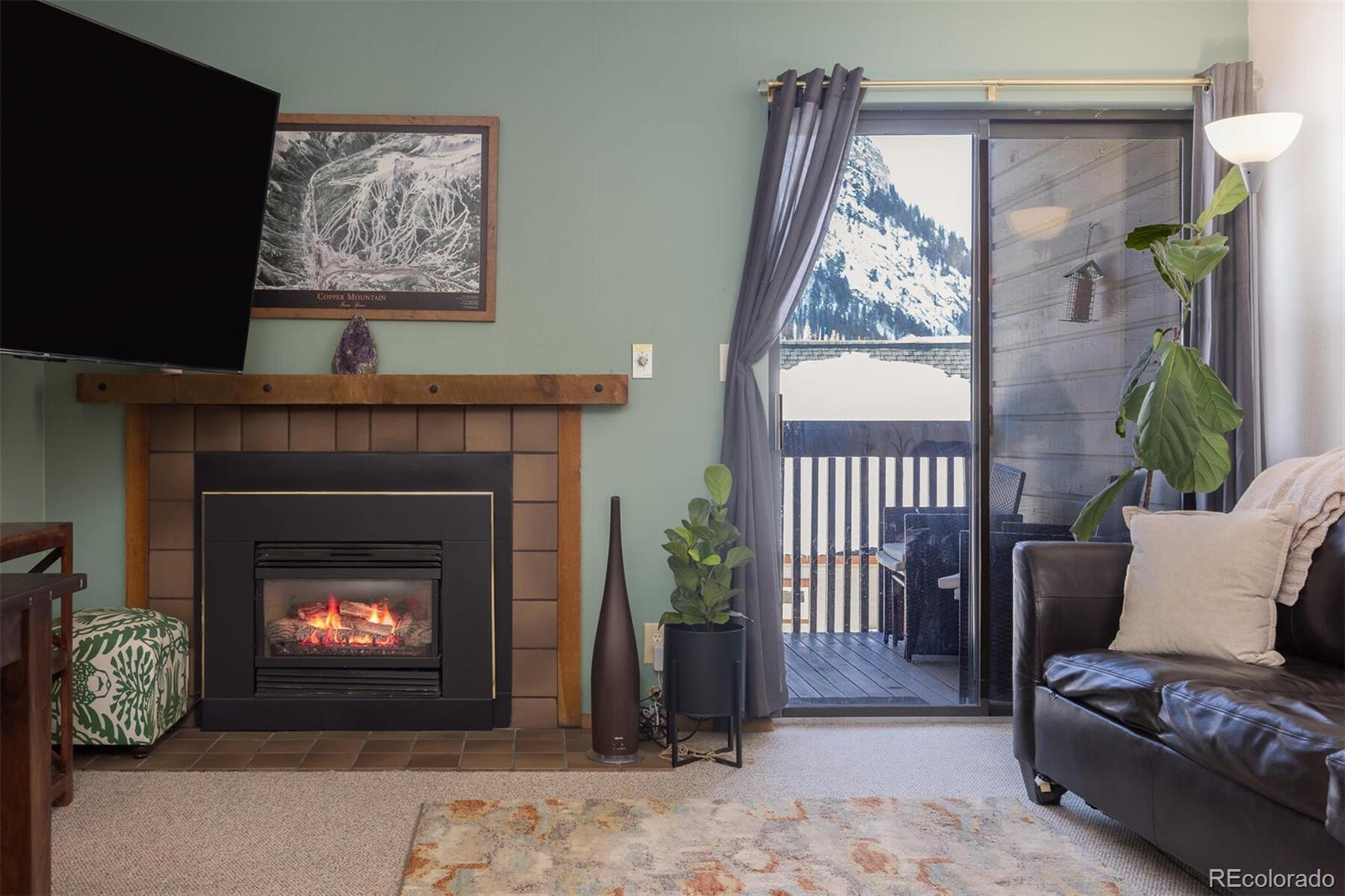 MLS Image #6 for 805 s 5th avenue,frisco, Colorado