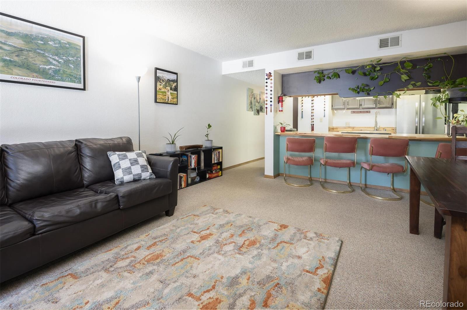 MLS Image #7 for 805 s 5th avenue,frisco, Colorado