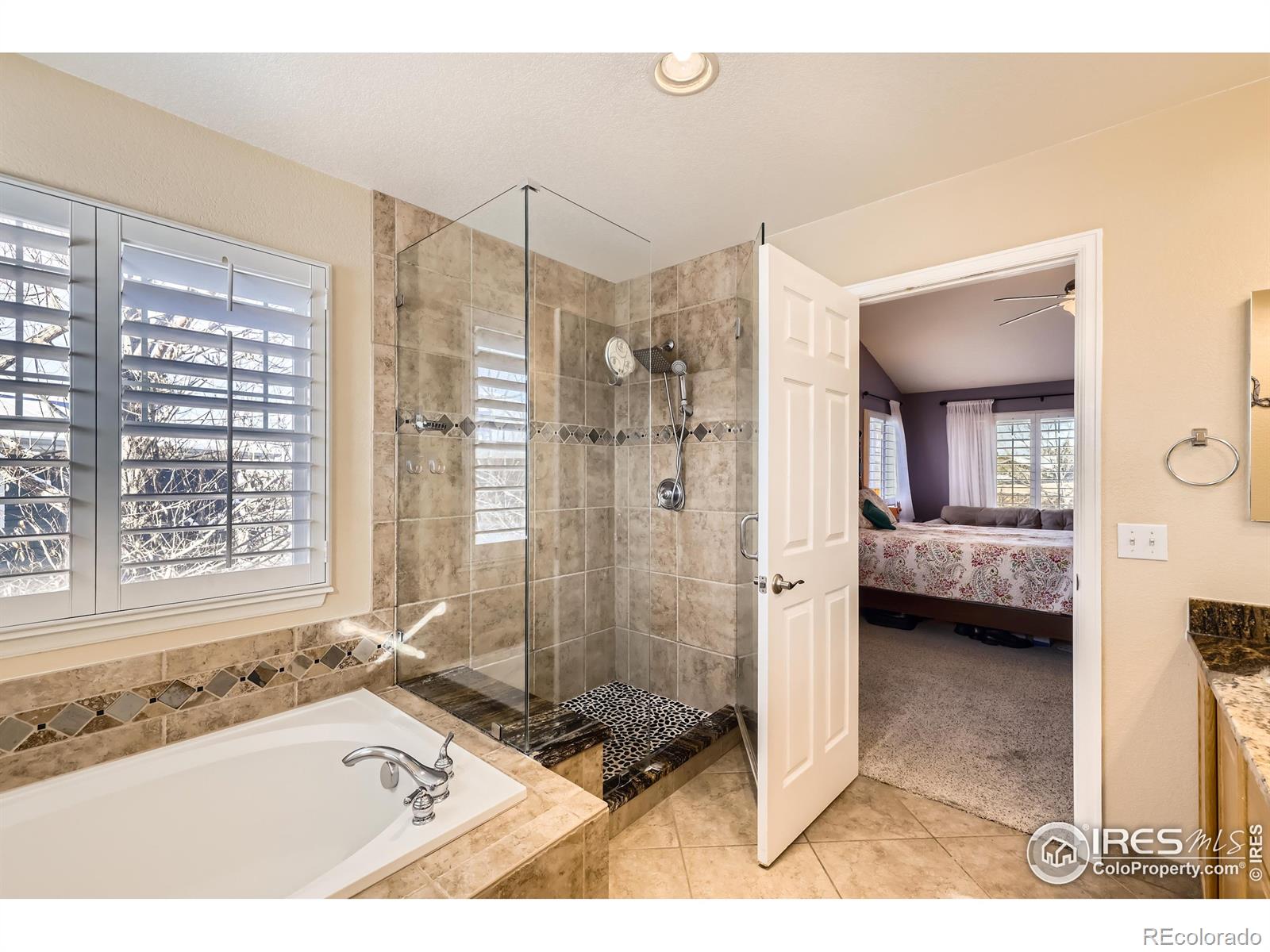 MLS Image #15 for 3559  craftsbury drive,highlands ranch, Colorado