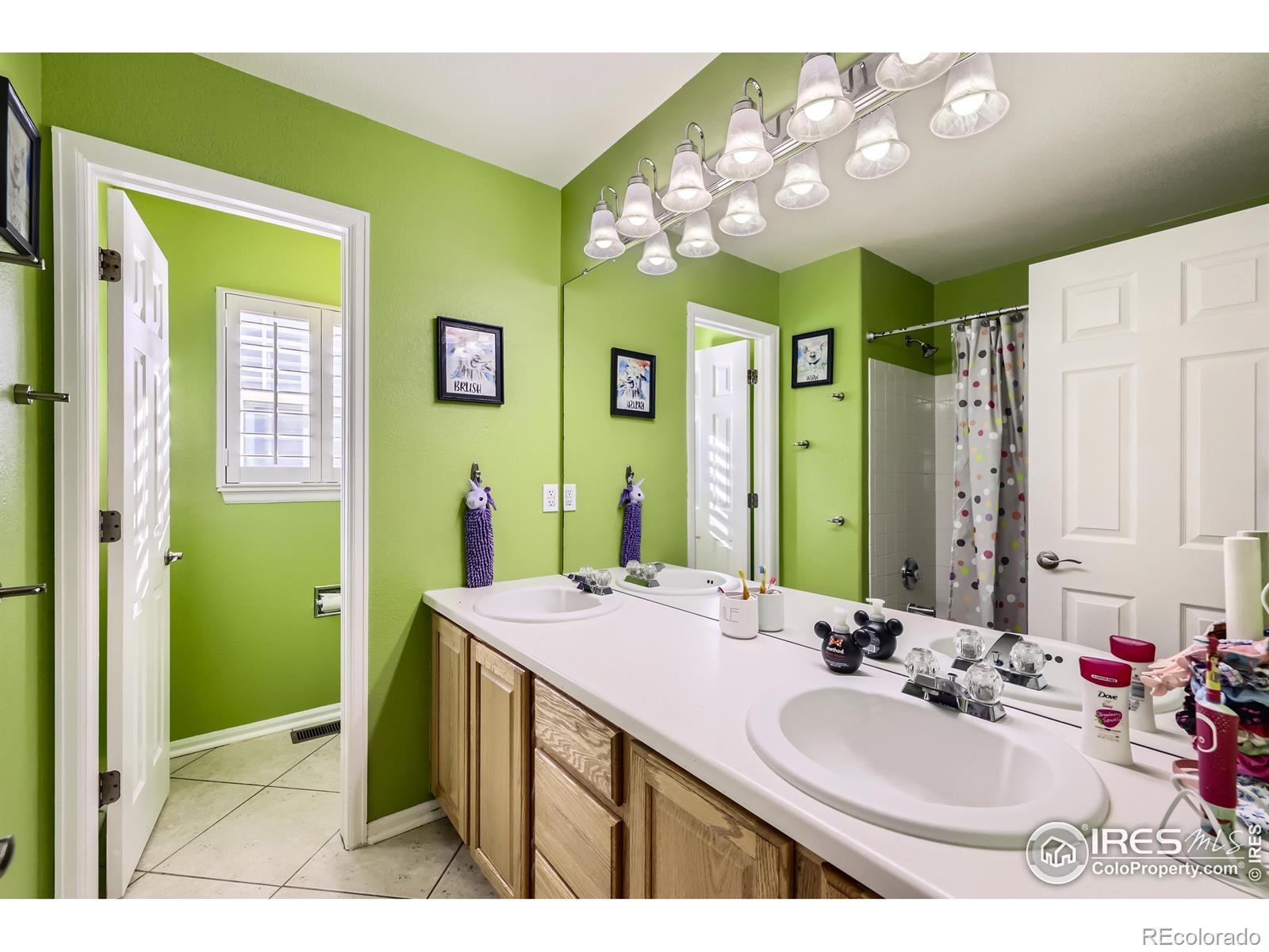 MLS Image #17 for 3559  craftsbury drive,highlands ranch, Colorado