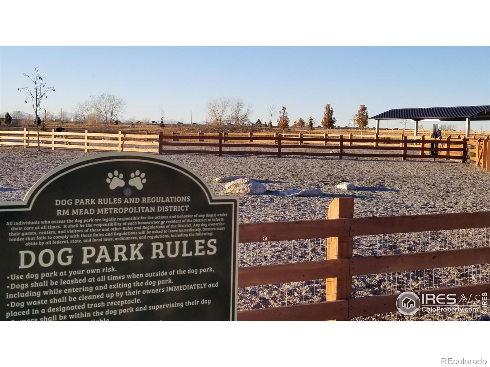 MLS Image #4 for 13626  topaz street,longmont, Colorado
