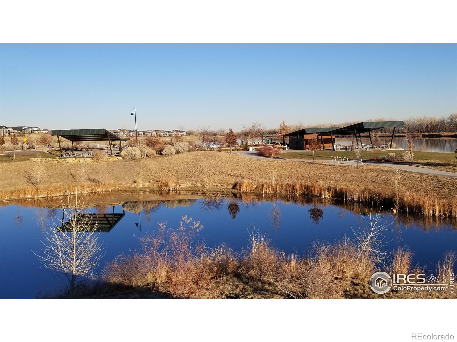 MLS Image #5 for 13626  topaz street,longmont, Colorado