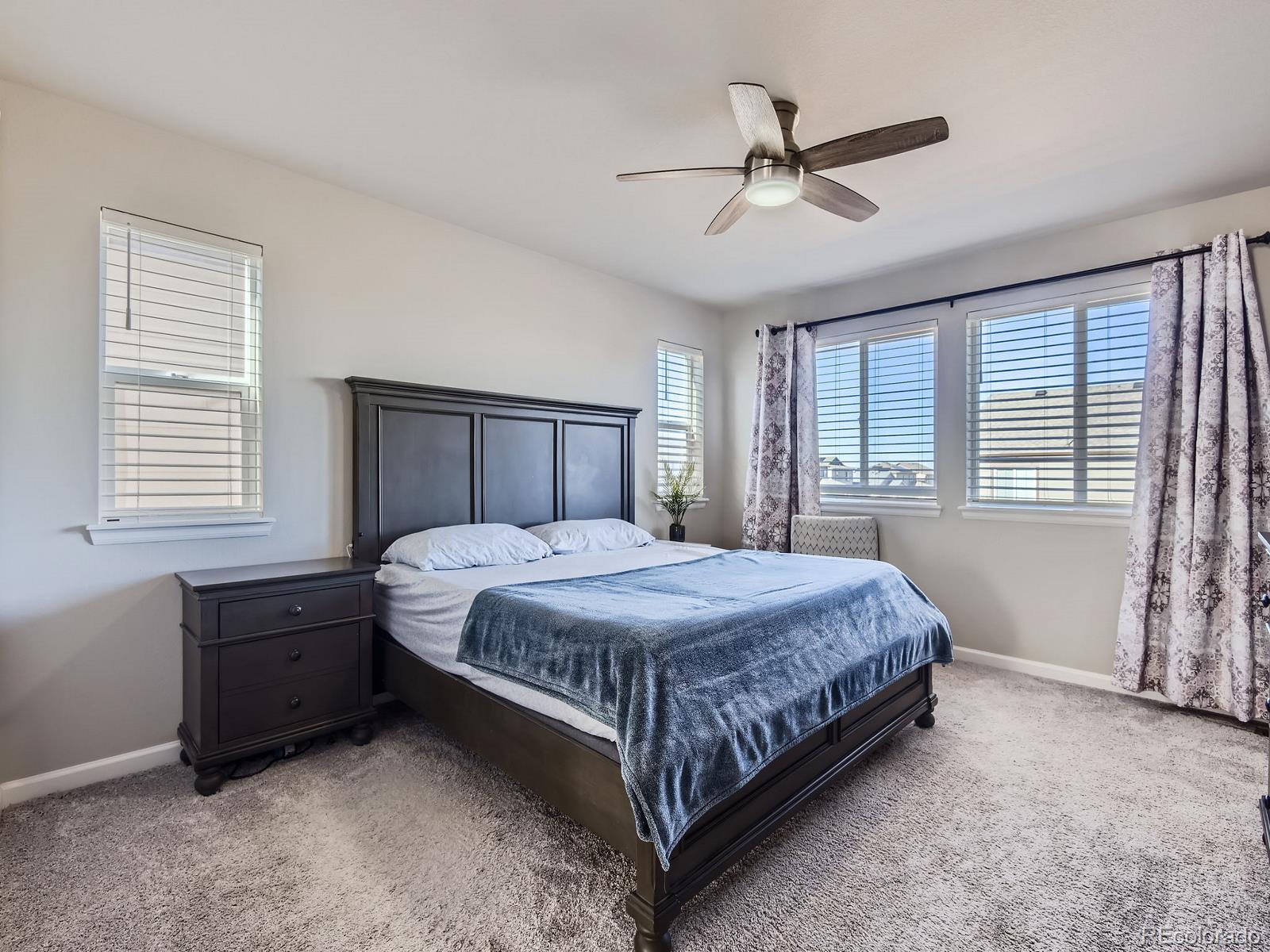 MLS Image #15 for 16025  stringhalt way,parker, Colorado