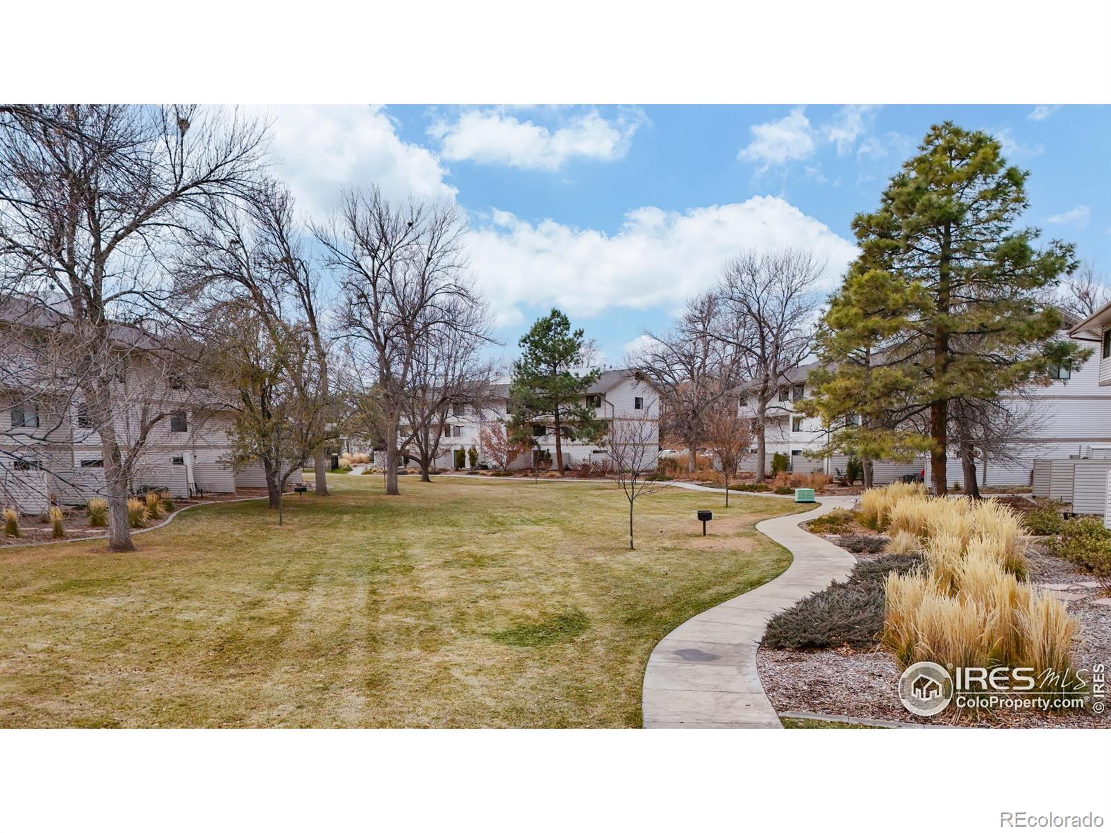 MLS Image #29 for 1705  heatheridge road,fort collins, Colorado