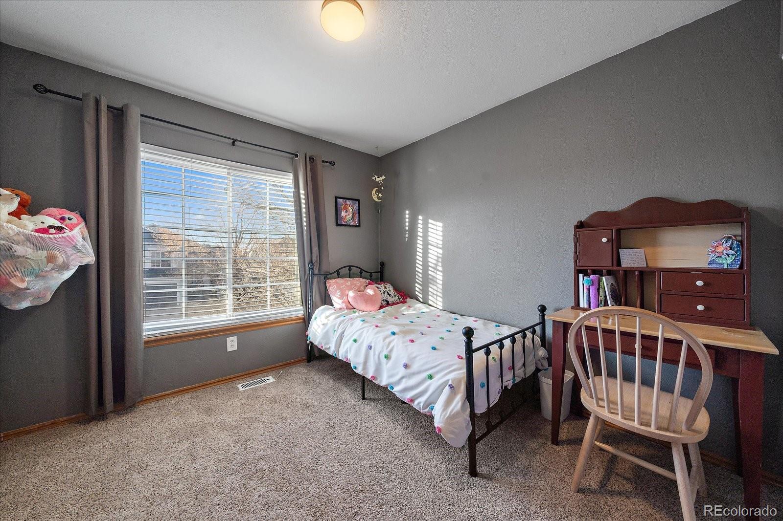 MLS Image #15 for 8736  starwood lane,parker, Colorado