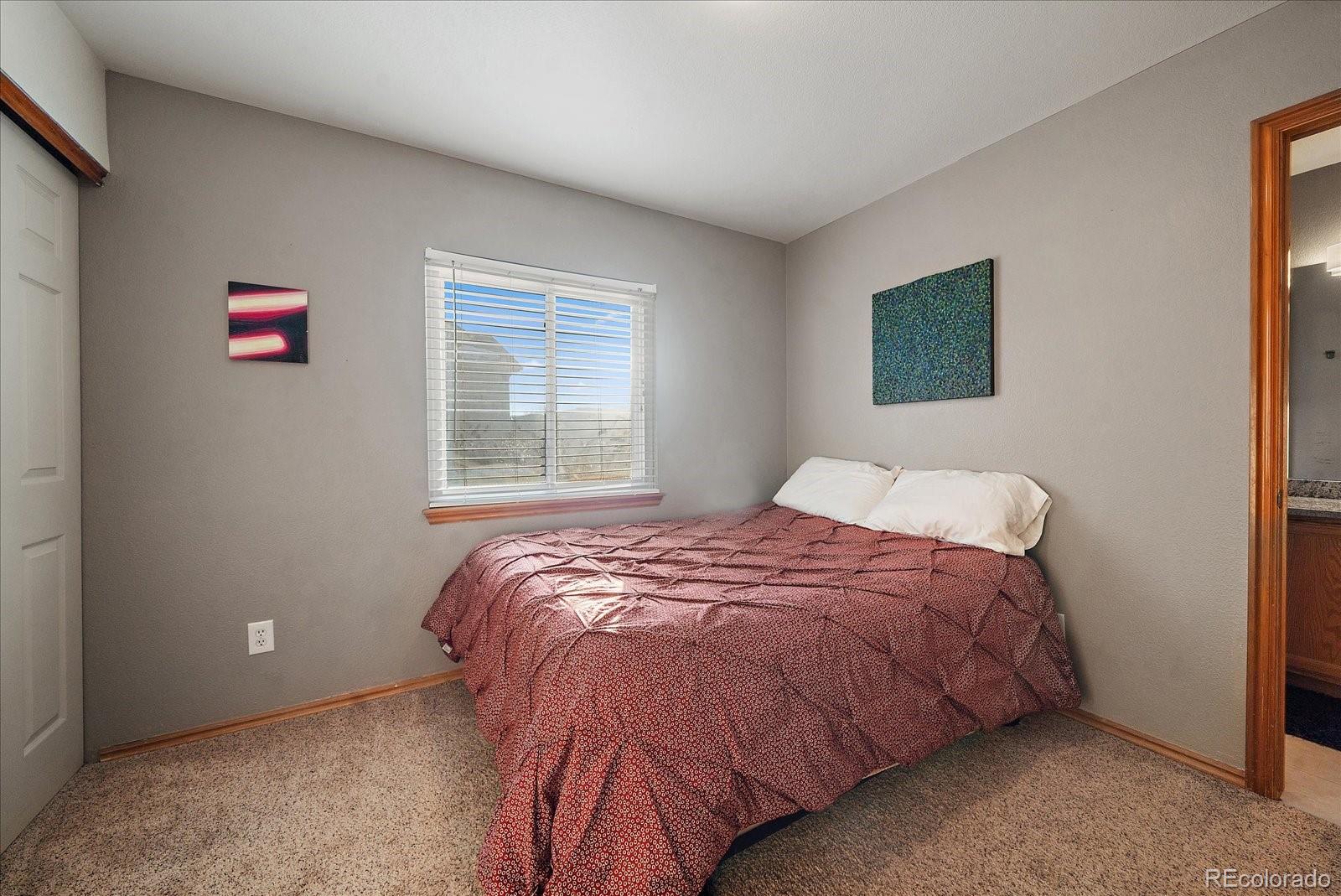 MLS Image #17 for 8736  starwood lane,parker, Colorado