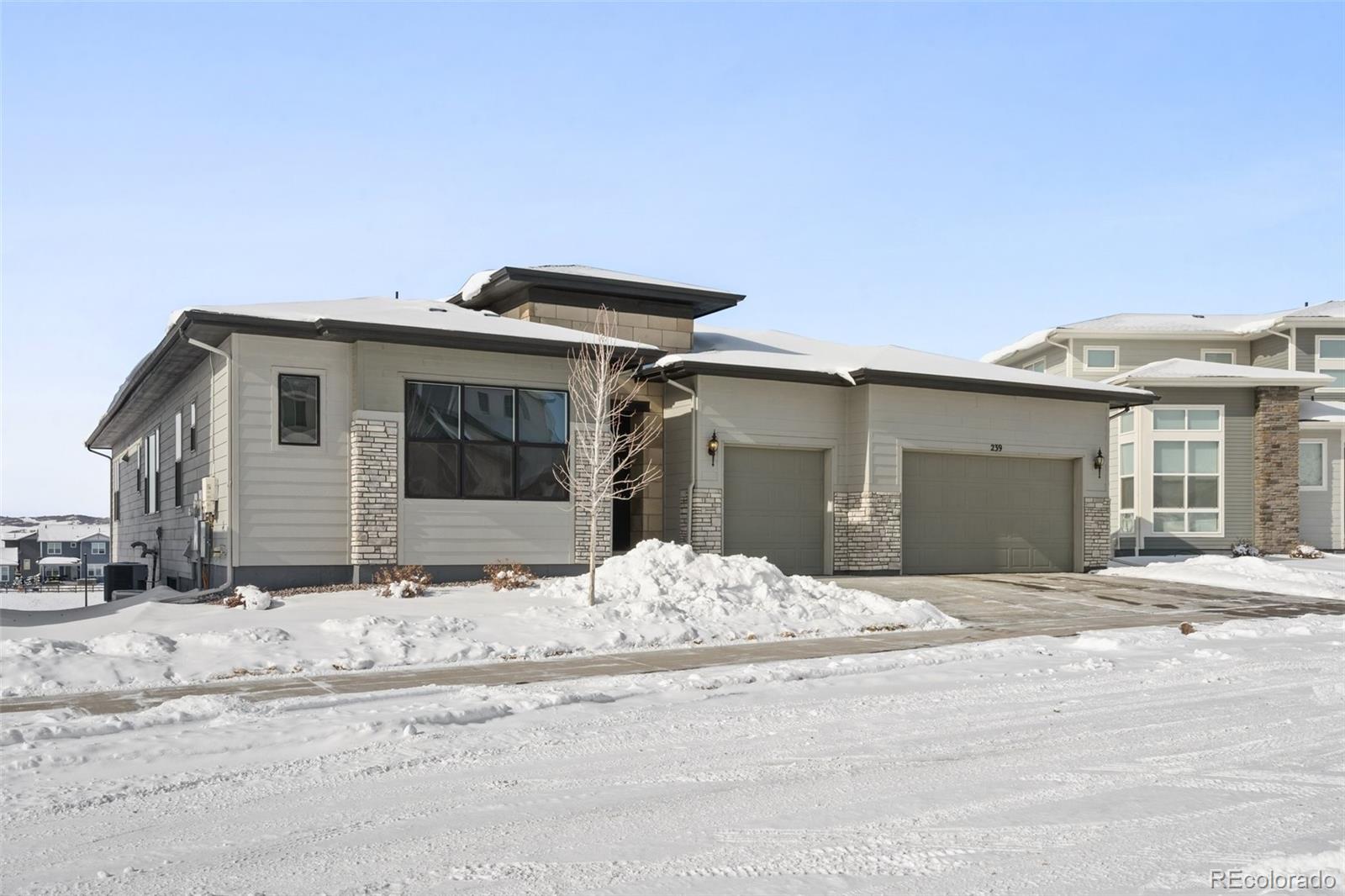 MLS Image #44 for 239  rogers court,castle rock, Colorado