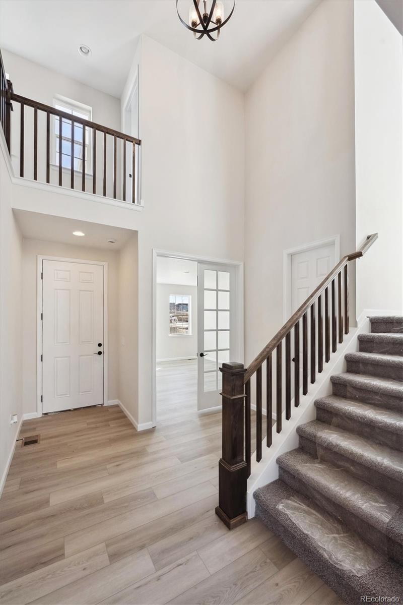 Report Image for 660  Apex Rise Street,Erie, Colorado