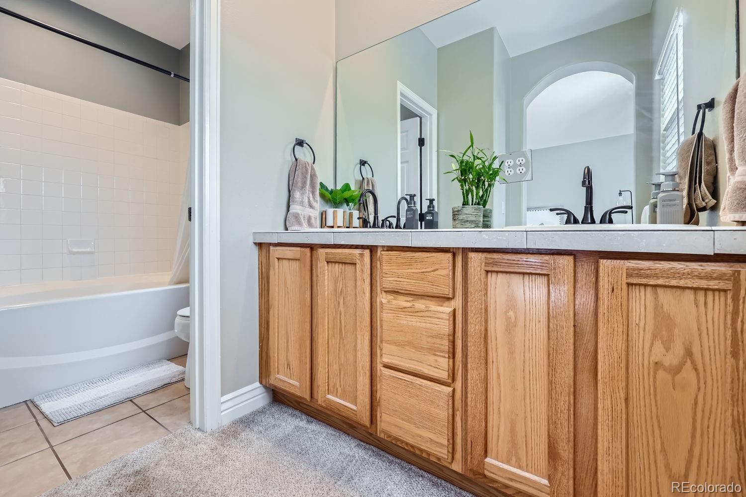 MLS Image #15 for 1231  carlyle park circle,highlands ranch, Colorado