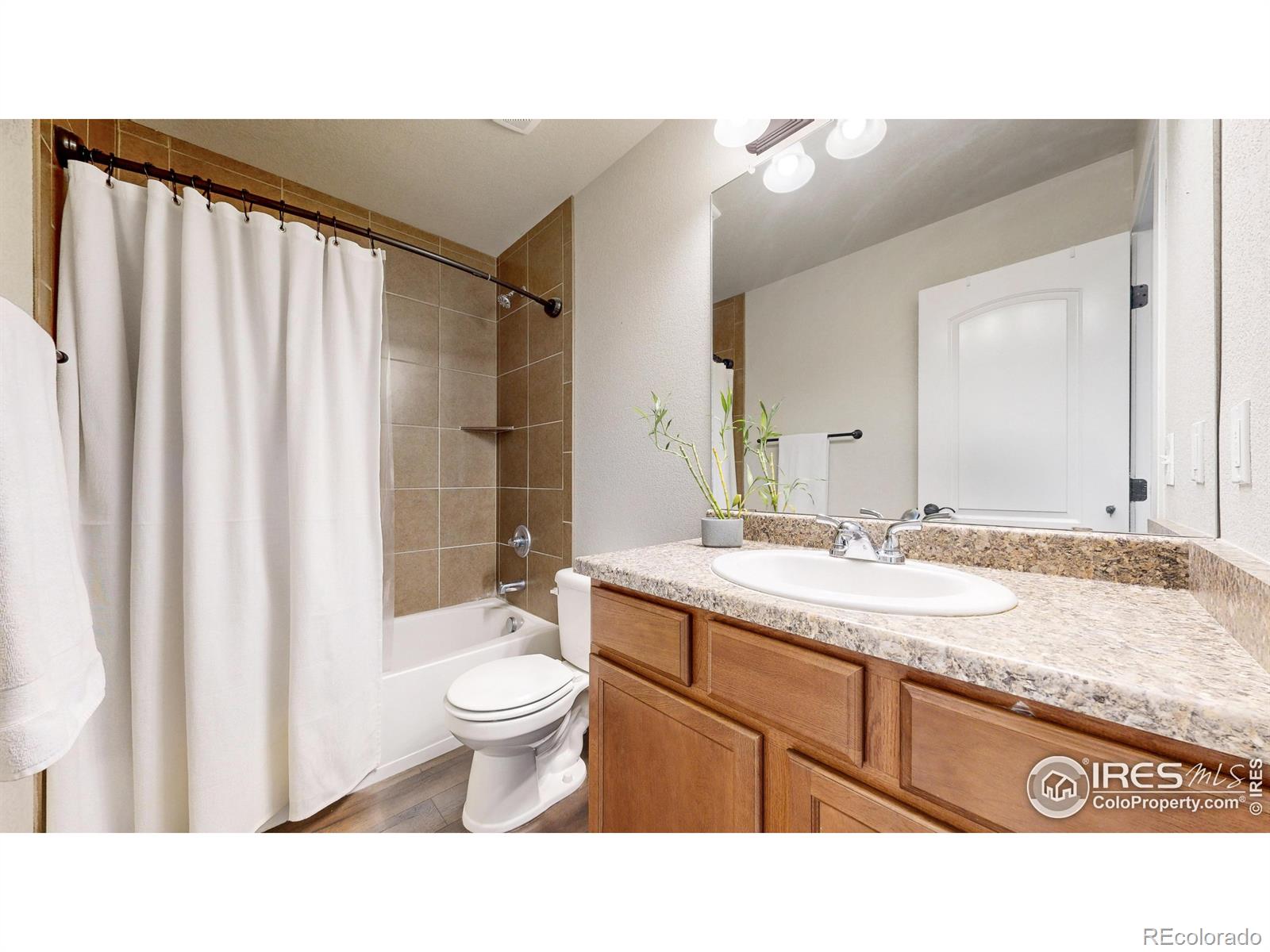 MLS Image #18 for 3753  mount ouray street,wellington, Colorado