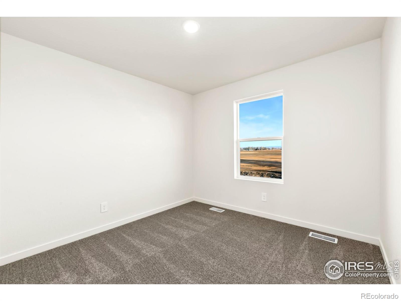 MLS Image #3 for 3232  buffalo grass lane,wellington, Colorado