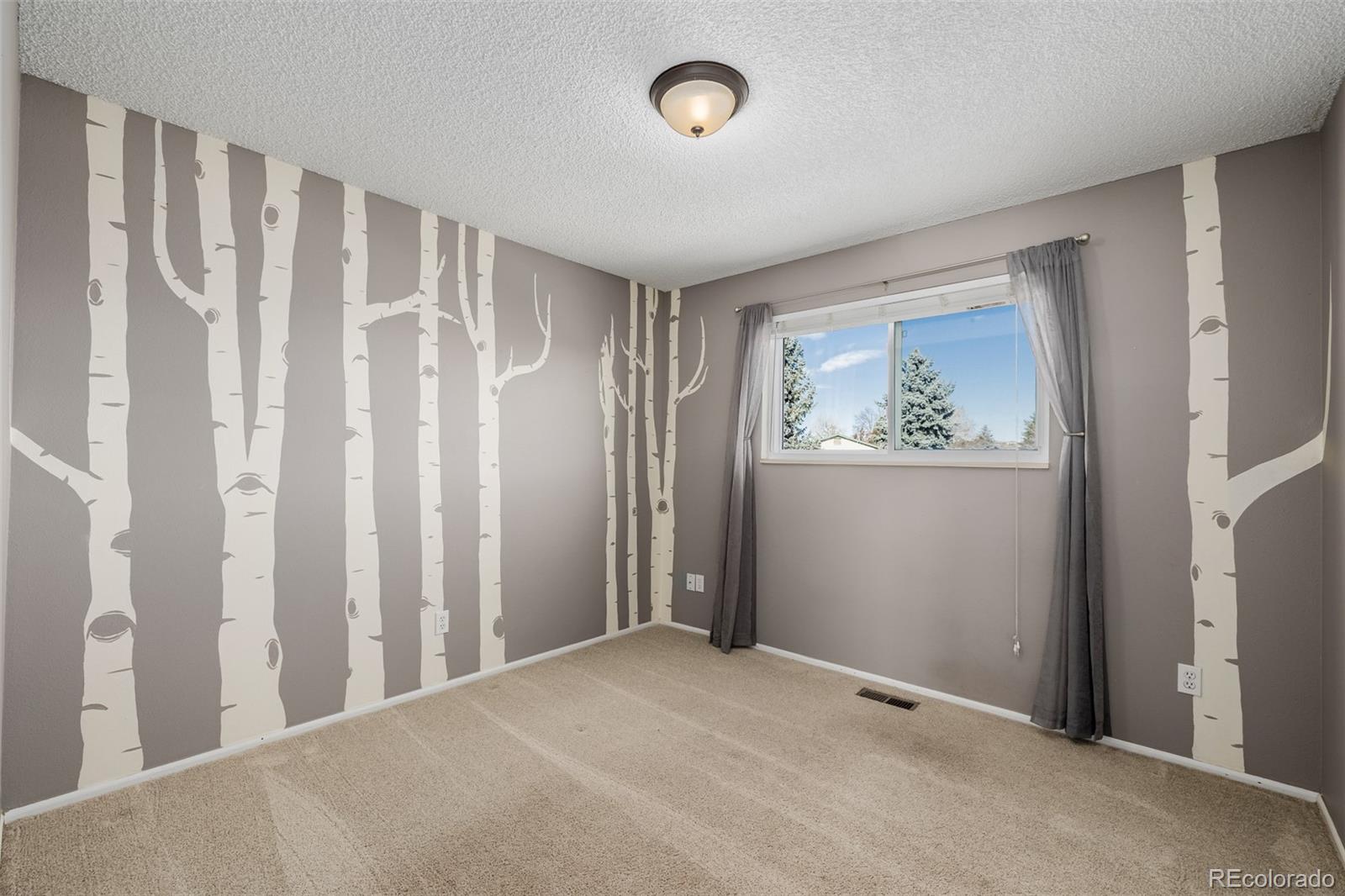 MLS Image #23 for 13905 w 74th way,arvada, Colorado