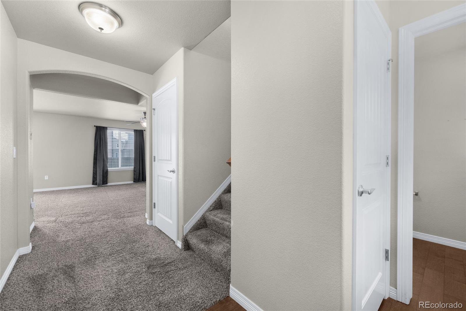 MLS Image #4 for 6215  wild turkey drive,colorado springs, Colorado