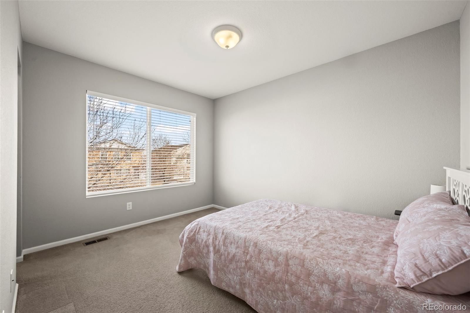 MLS Image #18 for 18636 e 45th place,denver, Colorado