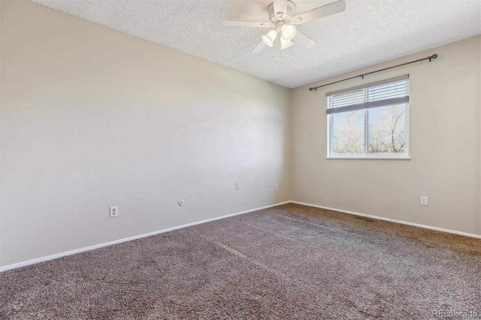 MLS Image #11 for 6572 s dover street,littleton, Colorado