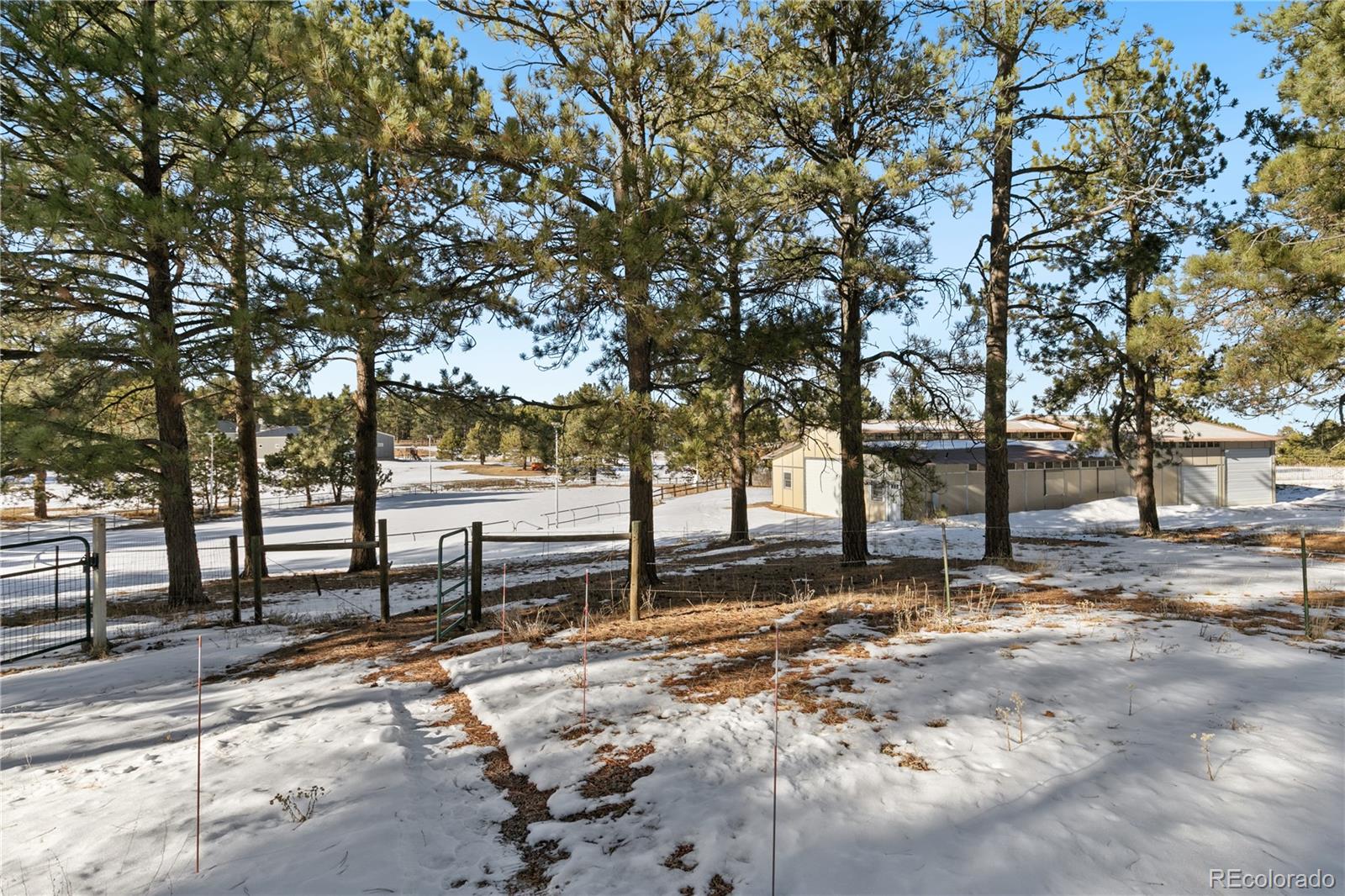 MLS Image #43 for 17820  pinto way,monument, Colorado