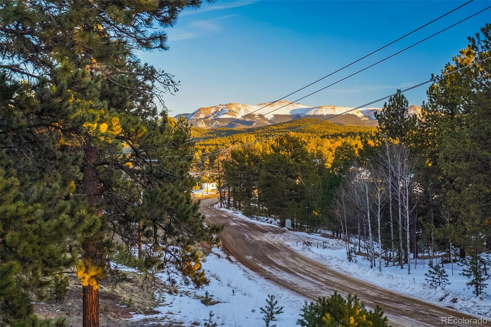 MLS Image #39 for 36  quartz road,florissant, Colorado