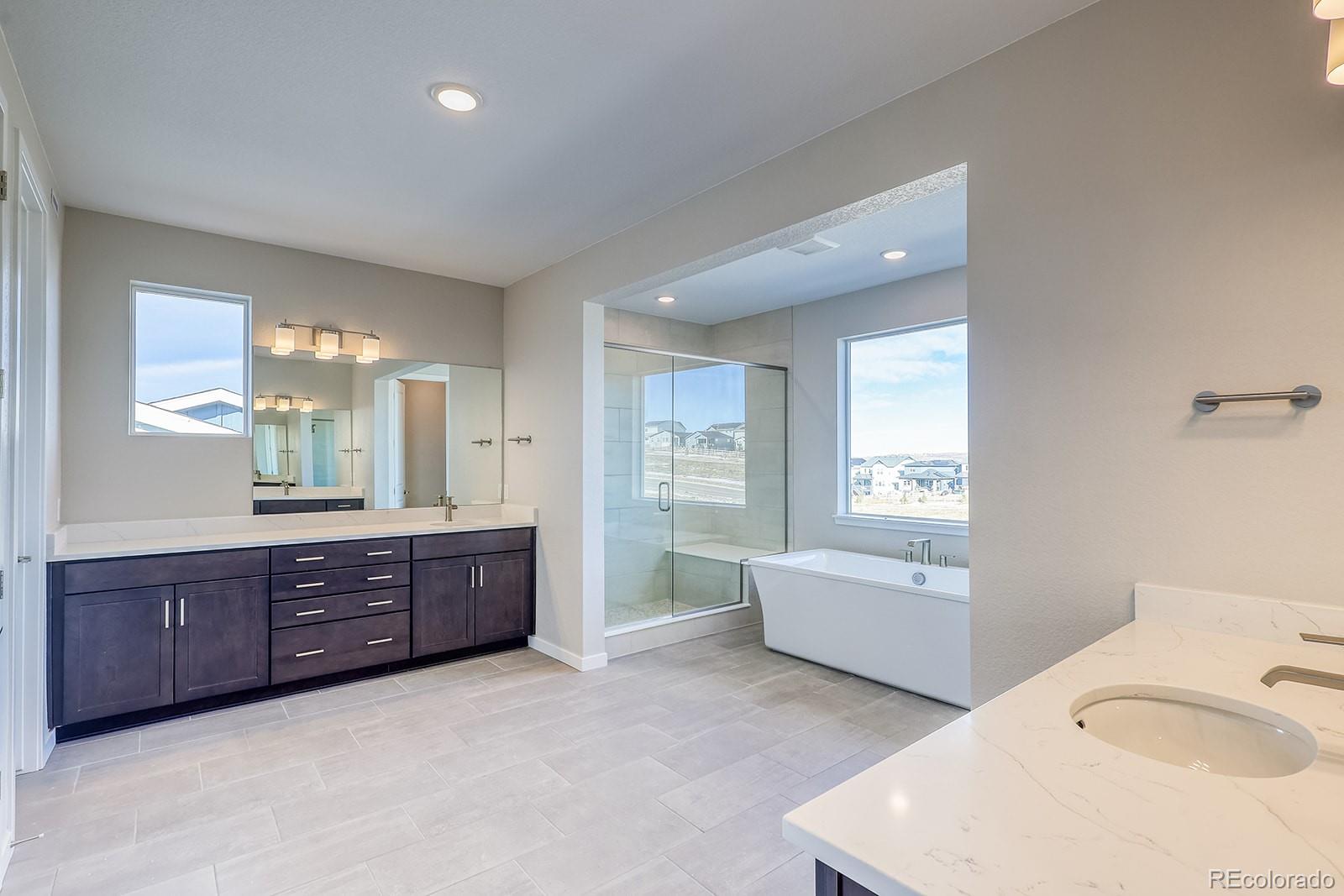MLS Image #12 for 8596  hotchkiss street,littleton, Colorado