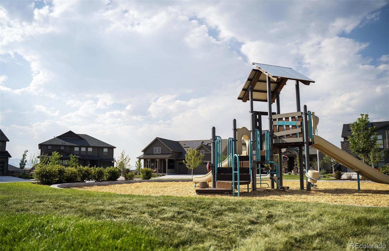 MLS Image #23 for 8596  hotchkiss street,littleton, Colorado