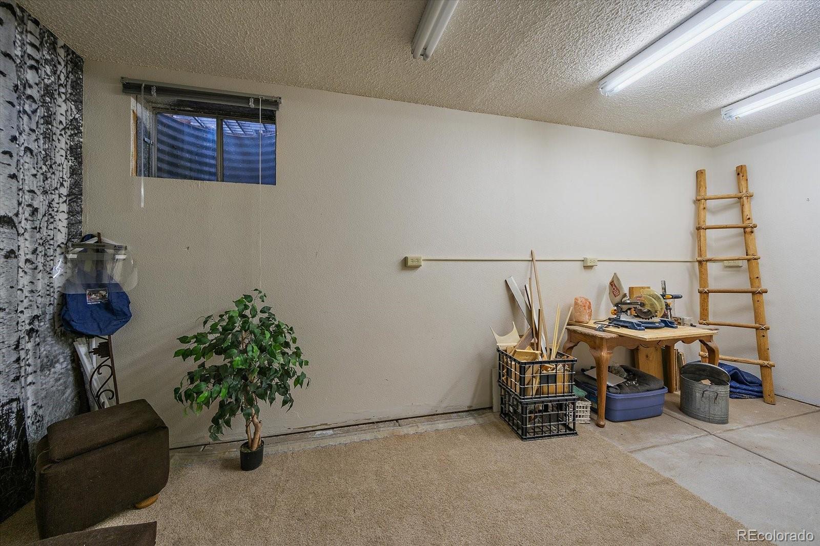 MLS Image #29 for 7356 s miller court,littleton, Colorado