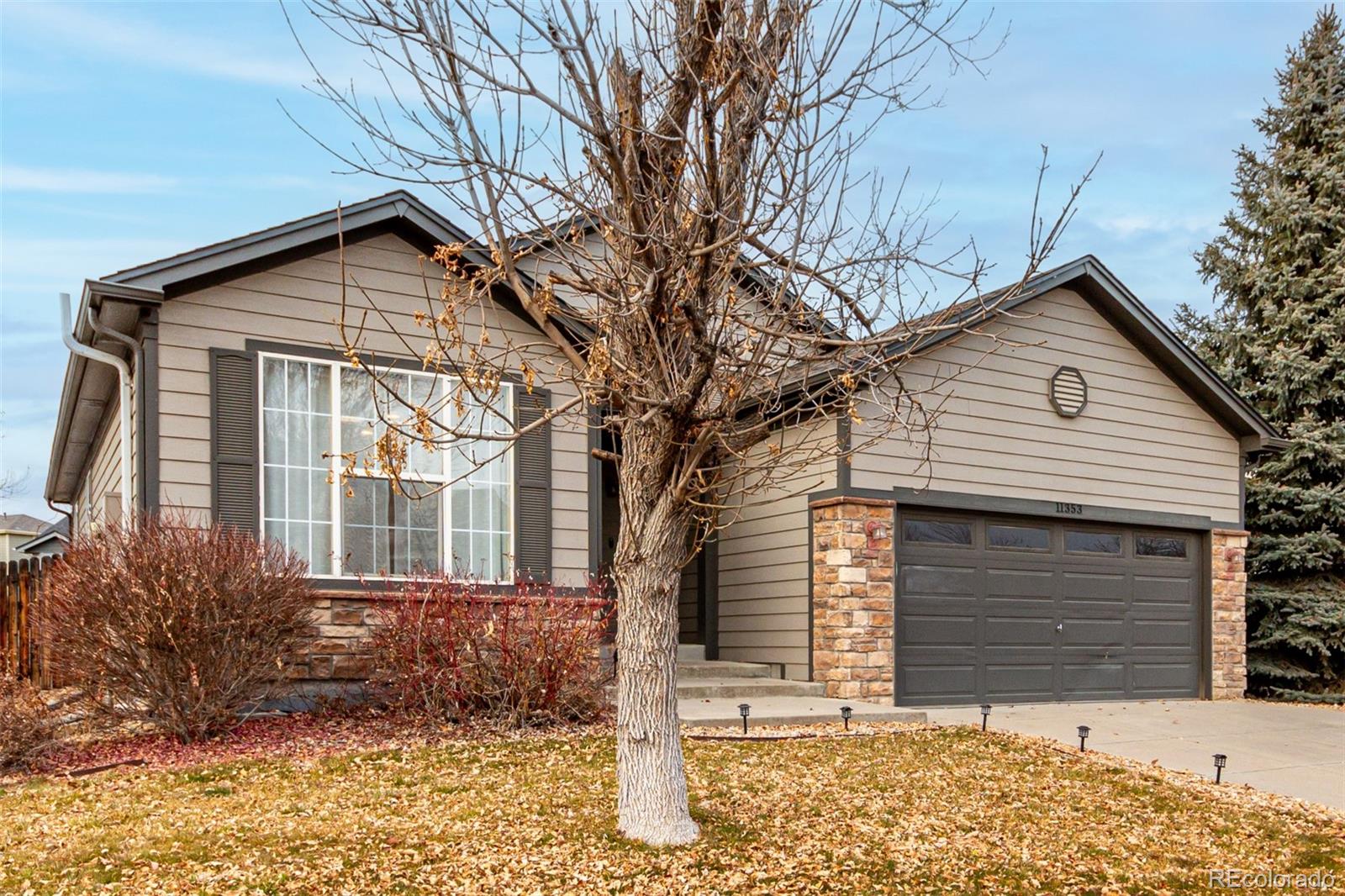 MLS Image #44 for 11353  jersey way,thornton, Colorado