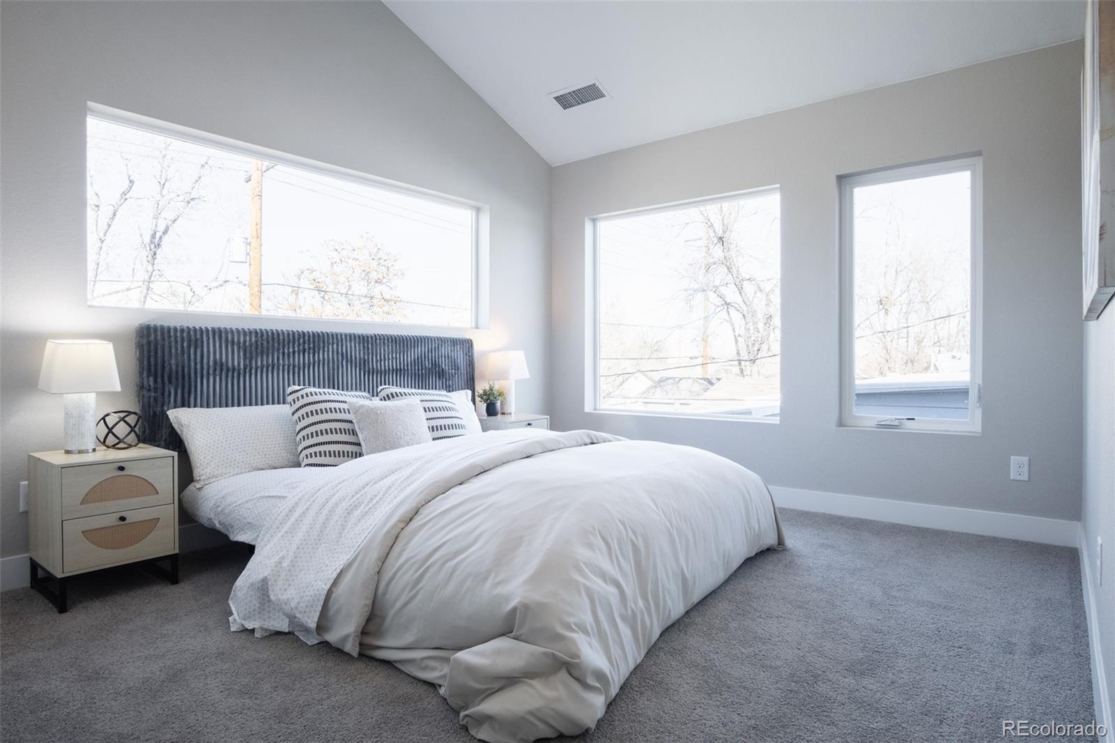 MLS Image #23 for 4341 n columbine street,denver, Colorado