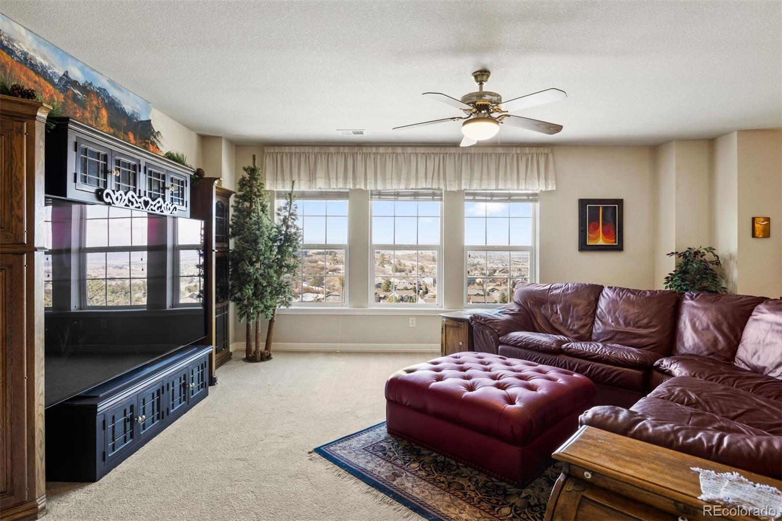 MLS Image #33 for 2874  cliff view court,castle rock, Colorado